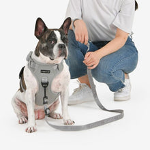 Load image into Gallery viewer, PUPPIA JAREK HARNESS H