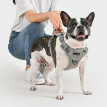 Load image into Gallery viewer, PUPPIA JAREK HARNESS H