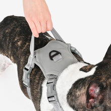 Load image into Gallery viewer, PUPPIA JAREK HARNESS H