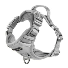 Load image into Gallery viewer, PUPPIA JAREK HARNESS H