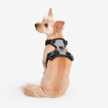 Load image into Gallery viewer, PUPPIA CONALL HARNESS H