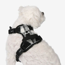 Load image into Gallery viewer, PUPPIA GARRETT HARNESS