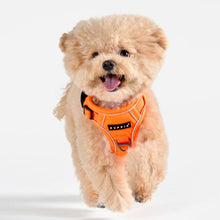 Load image into Gallery viewer, Puppia NEON HARNESS H