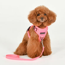 Load image into Gallery viewer, Puppia NEON HARNESS H
