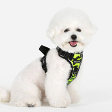 Load image into Gallery viewer, PUPPIA BATTLE HARNESS H
