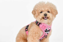 Load image into Gallery viewer, PUPPIA ABSTRACT HARNESS H