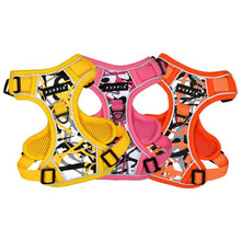 Load image into Gallery viewer, PUPPIA ABSTRACT HARNESS H