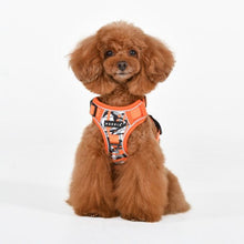 Load image into Gallery viewer, PUPPIA ABSTRACT HARNESS H