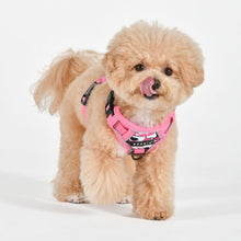 Load image into Gallery viewer, PUPPIA ABSTRACT HARNESS H