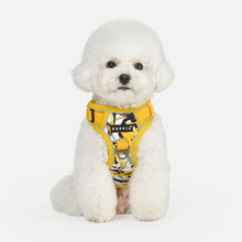 Load image into Gallery viewer, PUPPIA ABSTRACT HARNESS H
