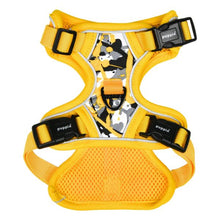 Load image into Gallery viewer, PUPPIA ABSTRACT HARNESS H