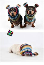 Load image into Gallery viewer, PUPPIA Knit Snood