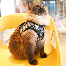 Load image into Gallery viewer, CATSPIA  Garbo Superior Harness for  Cats