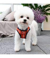 Load image into Gallery viewer, PUPPIA Harness-Veste Baxter
