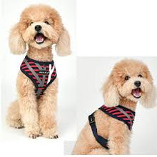 Load image into Gallery viewer, Puppia Red Briton Harness for Dogs