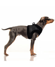 Load image into Gallery viewer, Milk & Pepper Kurt Harness