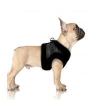 Load image into Gallery viewer, Milk & Pepper Kurt Harness