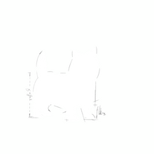 Load image into Gallery viewer, ROYAL CANIN Light Weight  WET (12X85G)