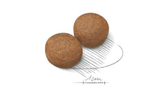 Load image into Gallery viewer, ROYAL CANIN Large Adult Dry Dog Food