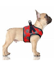 Load image into Gallery viewer, Milk & Pepper  MANAHAU Red Harness