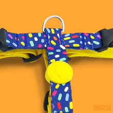 Load image into Gallery viewer, MORSO COLOR  INVADERS H Harness