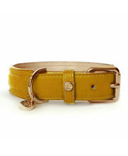 Load image into Gallery viewer, €5 SALE! MILK AND PEPPER Mustard Trocadero Collar