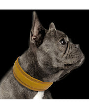 Load image into Gallery viewer, €5 SALE! MILK AND PEPPER Mustard Trocadero Collar