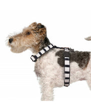 Load image into Gallery viewer, Milk & Pepper Naval Harness