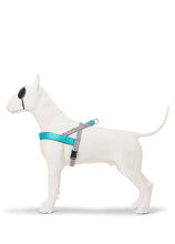 Load image into Gallery viewer, MORSO ESKIMO KISS HARNESS MINI -XL