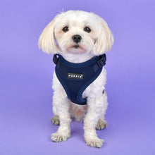 Load image into Gallery viewer, PUPPIA RITEFIT® HARNESS