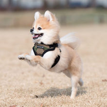 Load image into Gallery viewer, PUPPIA SOFT HARNESS C