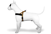 Load image into Gallery viewer, MORSO  MAZE HARNESS MINI -XL