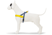 Load image into Gallery viewer, MORSO COLOR INVADERS Norwegian Harness