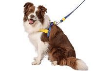 Load image into Gallery viewer, MORSO COLOR INVADERS Norwegian Harness