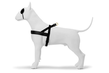 Load image into Gallery viewer, MORSO GOLD CAVIAR HARNESS MINI -XL