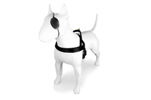 Load image into Gallery viewer, MORSO GOLD CAVIAR HARNESS MINI -XL