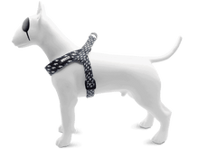 Load image into Gallery viewer, MORSO POWER FLOW  mini harness