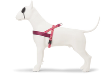 Load image into Gallery viewer, MORSO PINK THINK  HARNESS MINI -XL