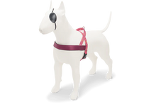 Load image into Gallery viewer, MORSO PINK THINK  HARNESS MINI -XL