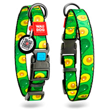 Load image into Gallery viewer, WAUDOG  Nylon Collar With Design 25mm