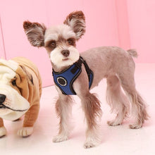 Load image into Gallery viewer, PUPPIA TREK HARNESS C