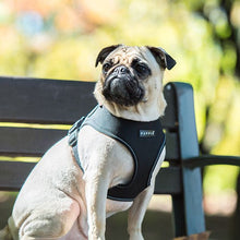 Load image into Gallery viewer, PUPPIA TREK SNUGFIT HARNESS E
