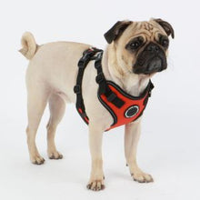 Load image into Gallery viewer, PUPPIA TREK SNUGFIT HARNESS E