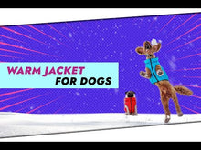Load and play video in Gallery viewer, WAUDOG World's Lightest Warm Jacket For Dogs