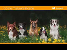 Load and play video in Gallery viewer, FERPLAST EASY P NYLON DOG OR CAT HARNESS