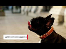 Load and play video in Gallery viewer, WAUDOG Heavenly Soft Leather Dog Leash