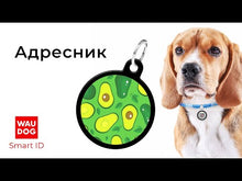 Load and play video in Gallery viewer, WAUDOG Design genuine leather dog collar with QR passport, "Ethno white