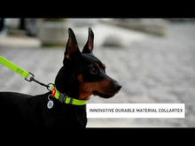 Load and play video in Gallery viewer, WAUDOG Ultra-Modern Waterproof Dog Collar With Metal Clasp