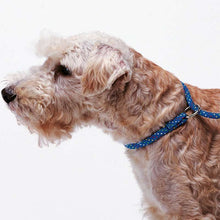 Load image into Gallery viewer, FERPLAST  Sport GC - Colorful nylon ring for dogs