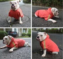 Load image into Gallery viewer, RED Dog Raincoat